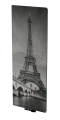 v19.png
