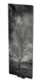v24.png
